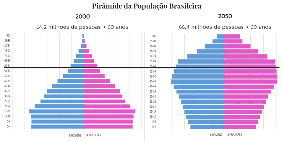 Pirâmide da idade da população brasileira