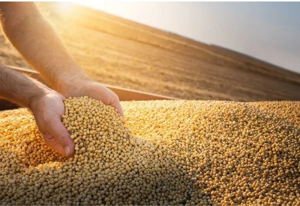 producao-agricola-em-2020-bate-novo-recorde-e-atinge-r-4705-bi