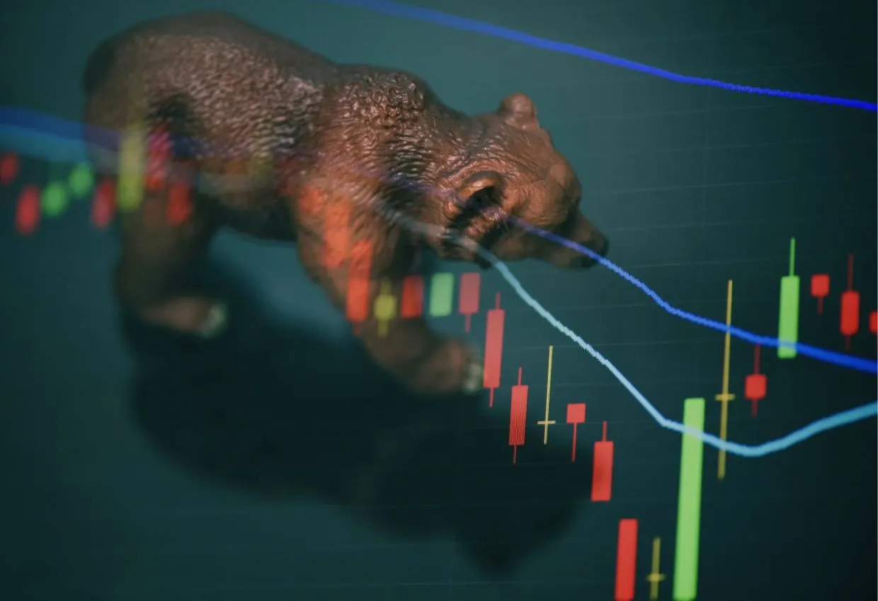 bear-market-rally-altas-na-bolsa-de-valores-brasileira