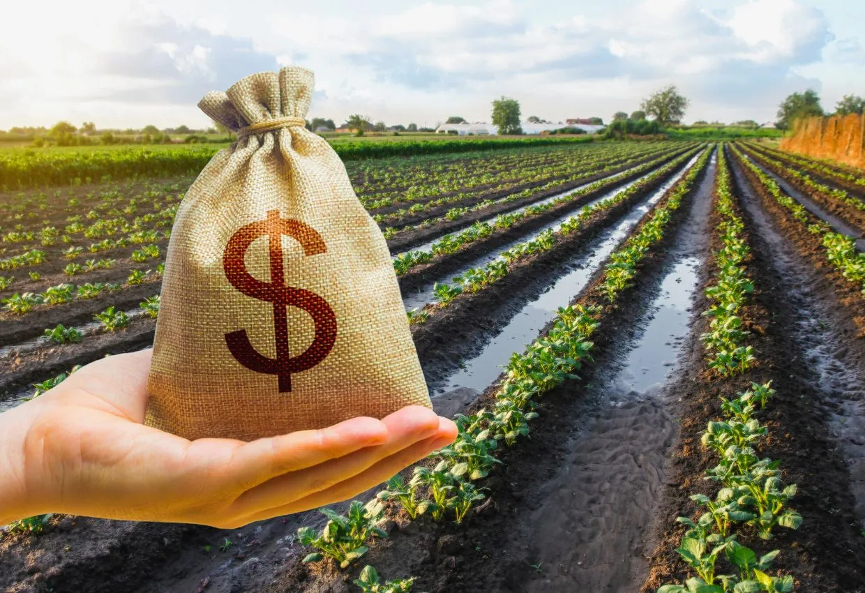 fiagro-oportunidade-e-riscos-ao-investir-no-agronegocio